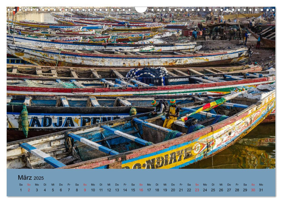 Westafrika hautnah - Mauretanien, Senegal, Guinea & Bissau (CALVENDO Wandkalender 2025)
