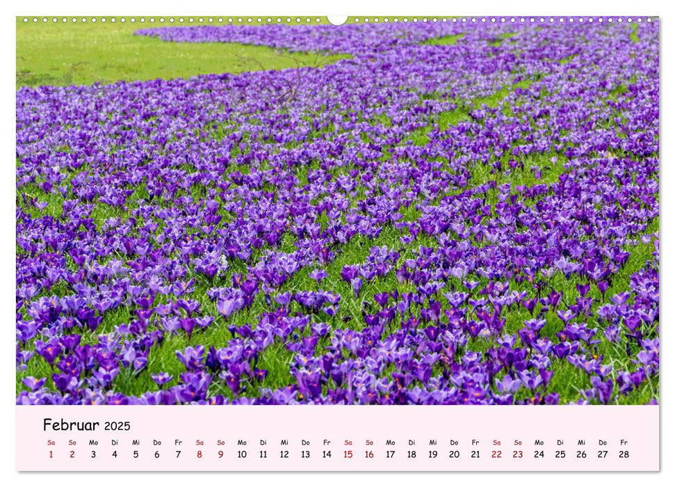 Blüten - in Hülle und Fülle (CALVENDO Wandkalender 2025)