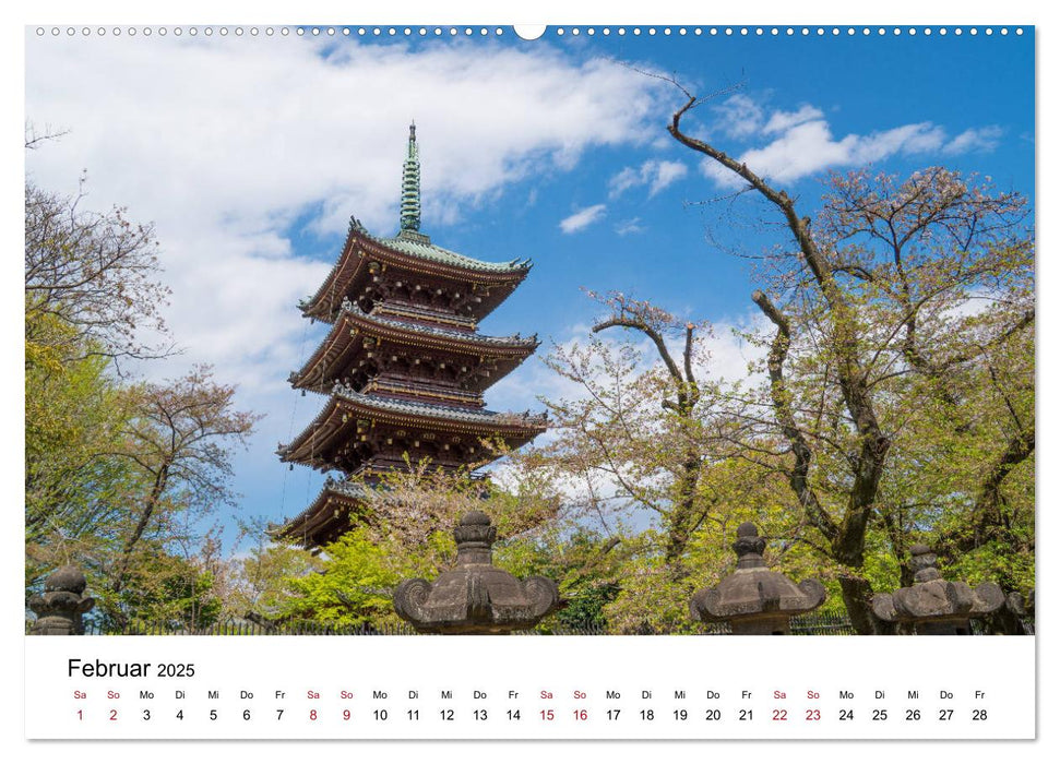 Tokio Kalender mit historischen Tempeln und Schreinen (CALVENDO Premium Wandkalender 2025)