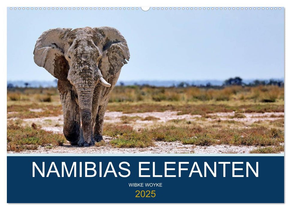 Namibias Elefanten (CALVENDO Wandkalender 2025)