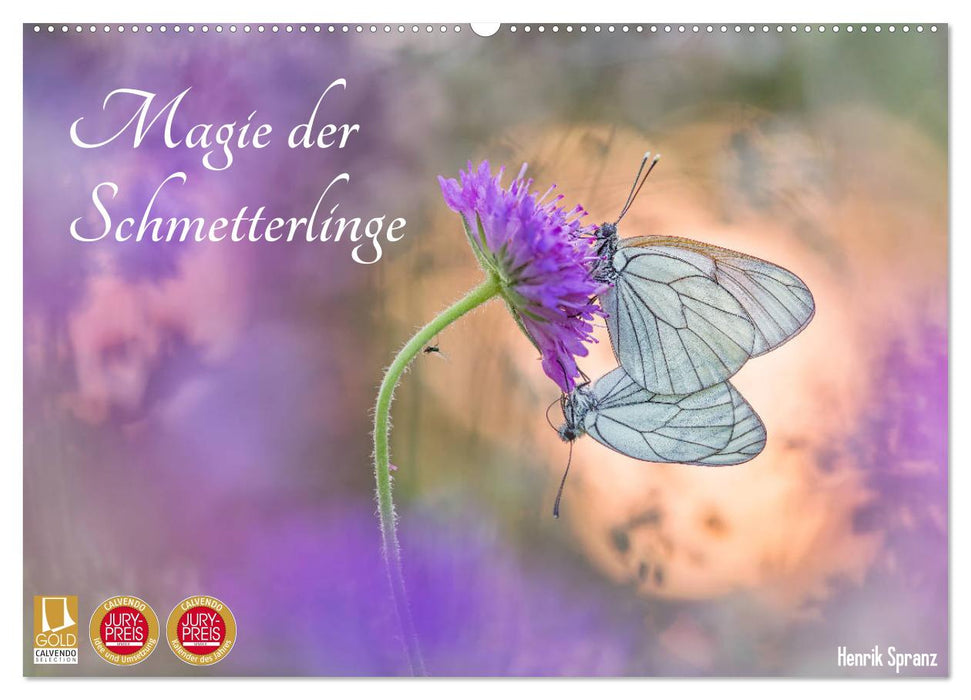 Magie der Schmetterlinge (CALVENDO Wandkalender 2025)