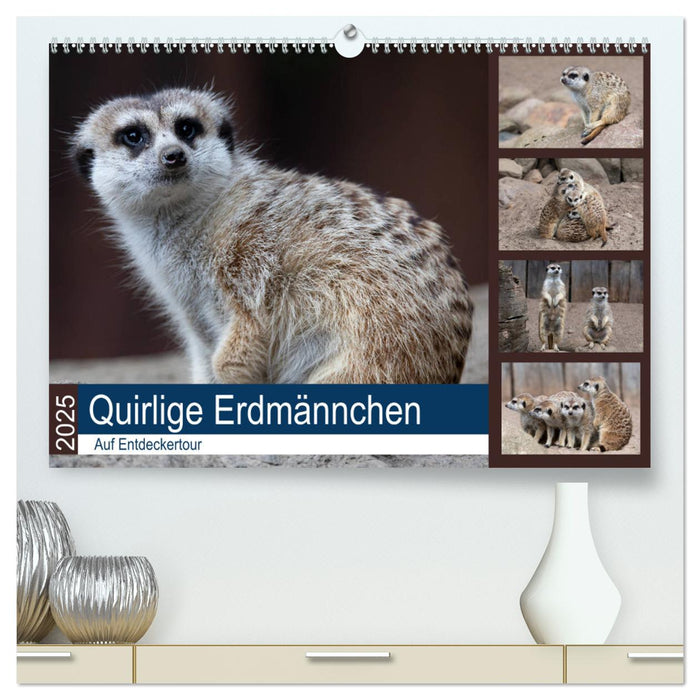 Quirlige Erdmännchen (CALVENDO Premium Wandkalender 2025)