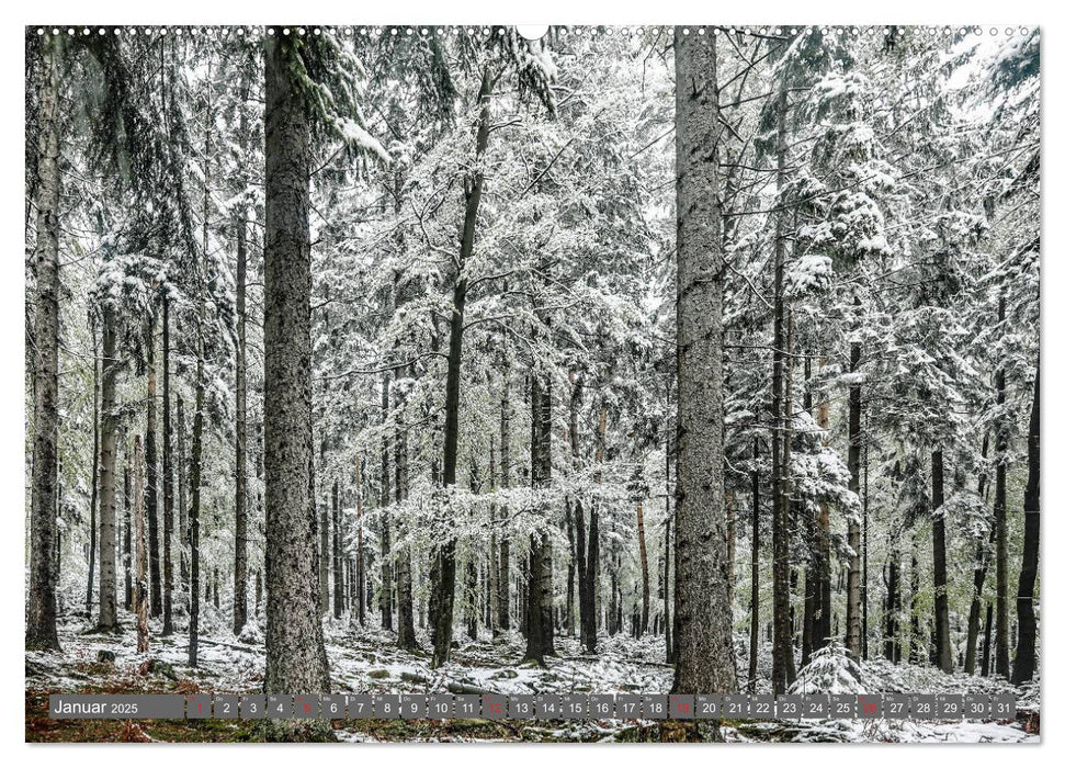 Schwarzwald-Wanderungen (CALVENDO Wandkalender 2025)