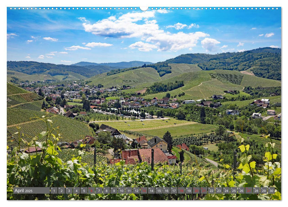 Schwarzwald-Wanderungen (CALVENDO Wandkalender 2025)