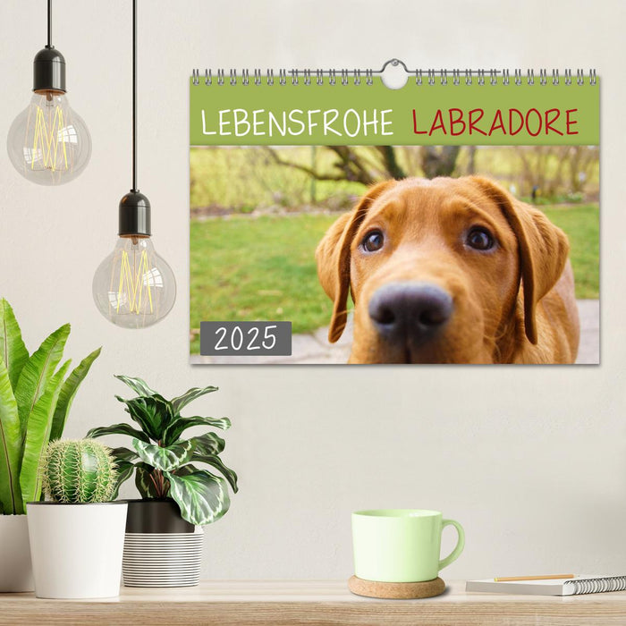 Lebensfrohe Labradore (CALVENDO Wandkalender 2025)