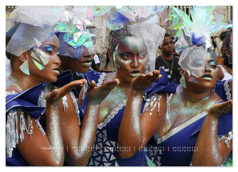 La Martinique - Faszination Karibik (CALVENDO Premium Wandkalender 2025)