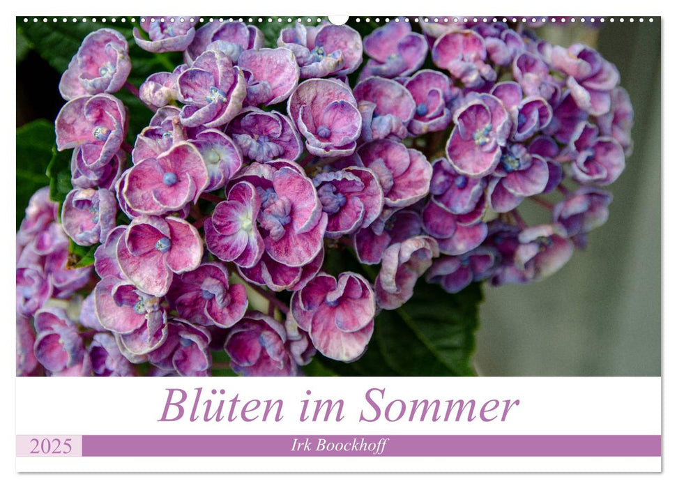 Blüten im Sommer (CALVENDO Wandkalender 2025)