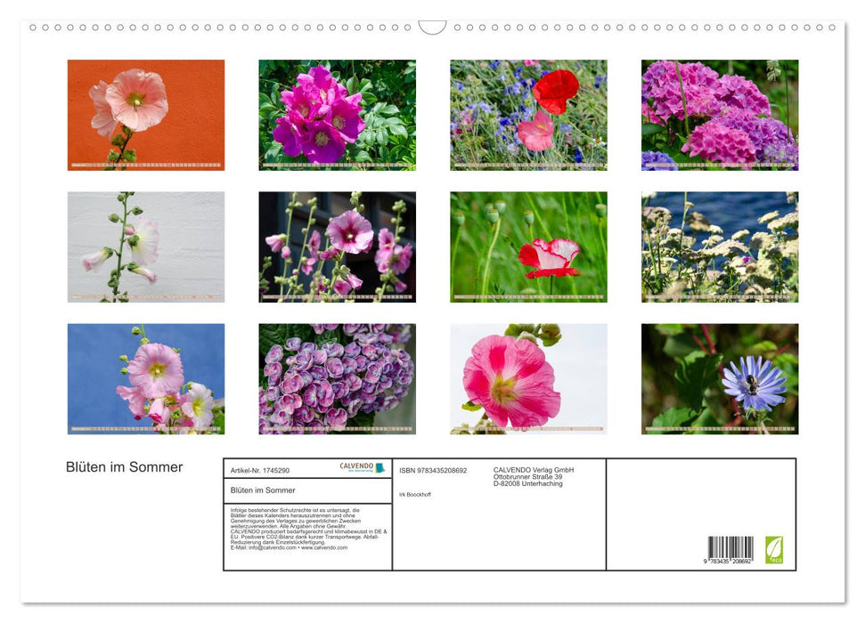 Blüten im Sommer (CALVENDO Wandkalender 2025)