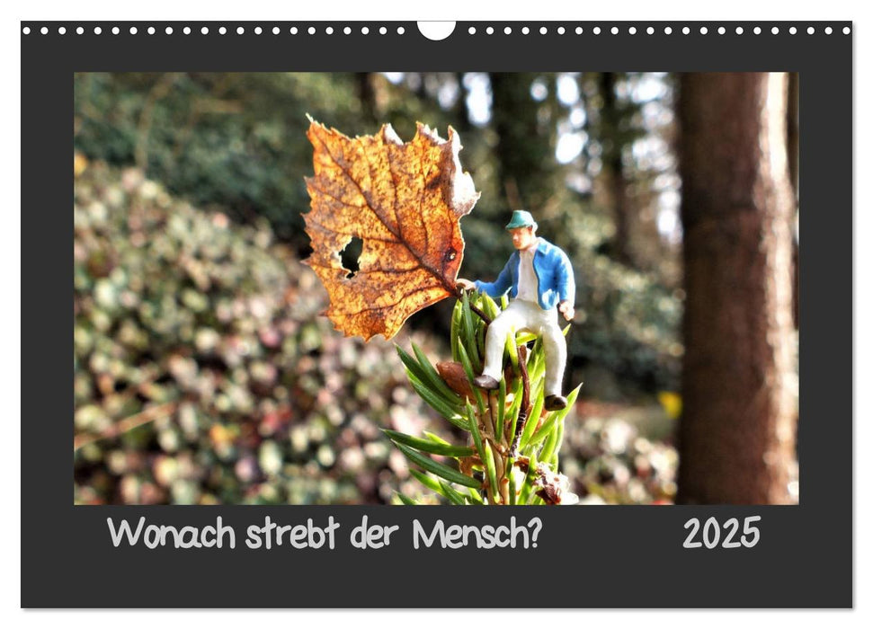 Wonach strebt der Mensch? (CALVENDO Wandkalender 2025)