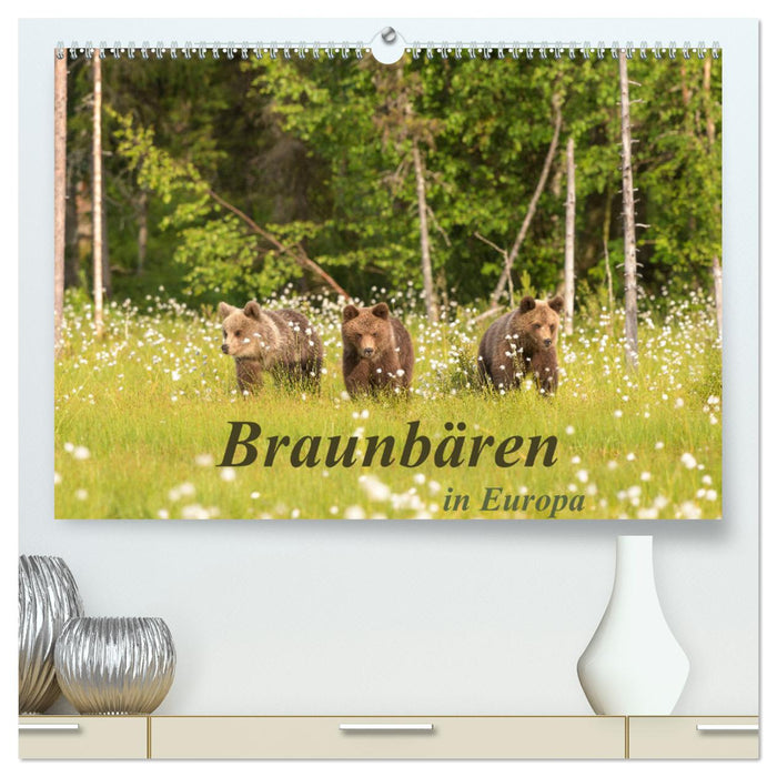 Braunbären in Europa (CALVENDO Premium Wandkalender 2025)