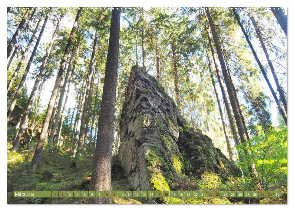 Bad Sachsa - Landschaftsmomente im Südharz (CALVENDO Premium Wandkalender 2025)