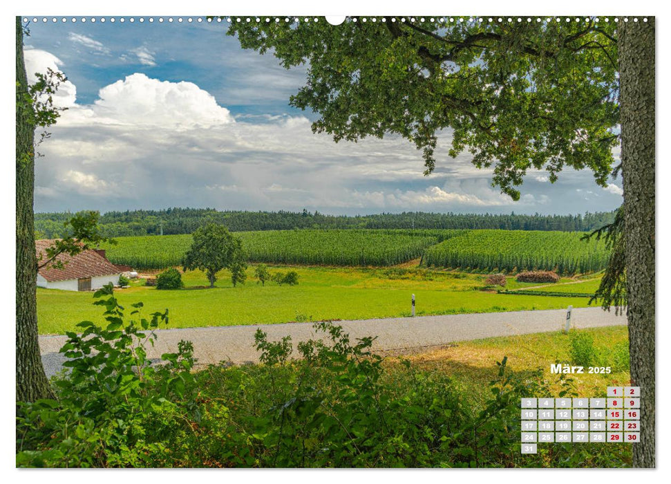 Hopfenland Holledau (CALVENDO Premium Wandkalender 2025)