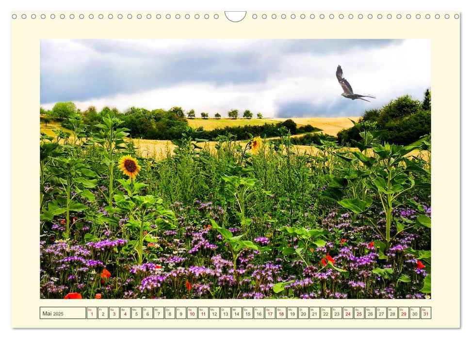 Mein schönes Land - Landliebe Wetterau (CALVENDO Wandkalender 2025)