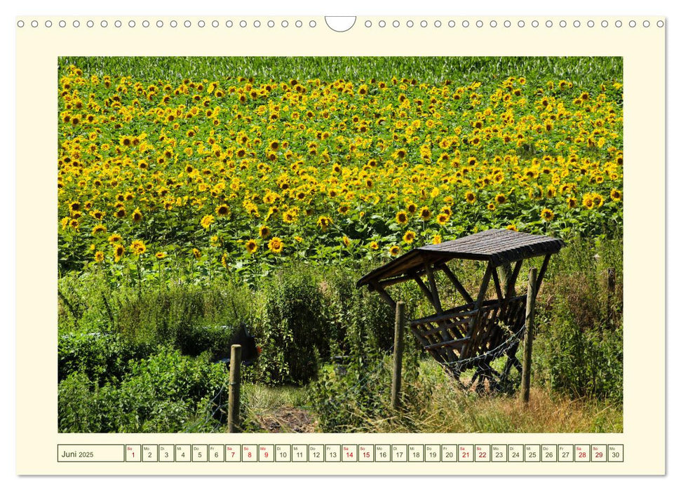 Mein schönes Land - Landliebe Wetterau (CALVENDO Wandkalender 2025)