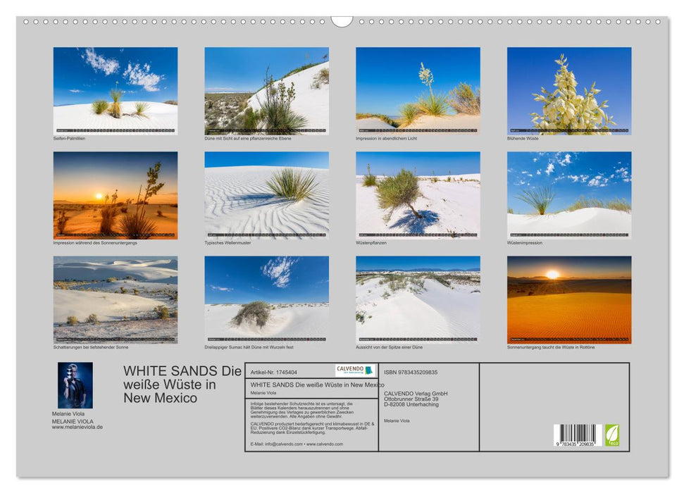 WHITE SANDS Die weiße Wüste in New Mexico (CALVENDO Wandkalender 2025)