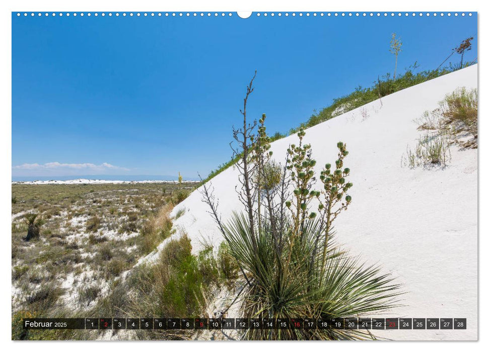 WHITE SANDS Die weiße Wüste in New Mexico (CALVENDO Wandkalender 2025)