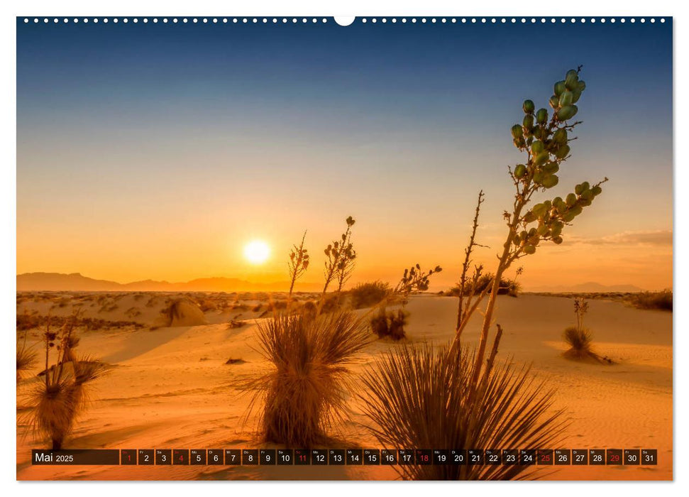 WHITE SANDS Die weiße Wüste in New Mexico (CALVENDO Wandkalender 2025)