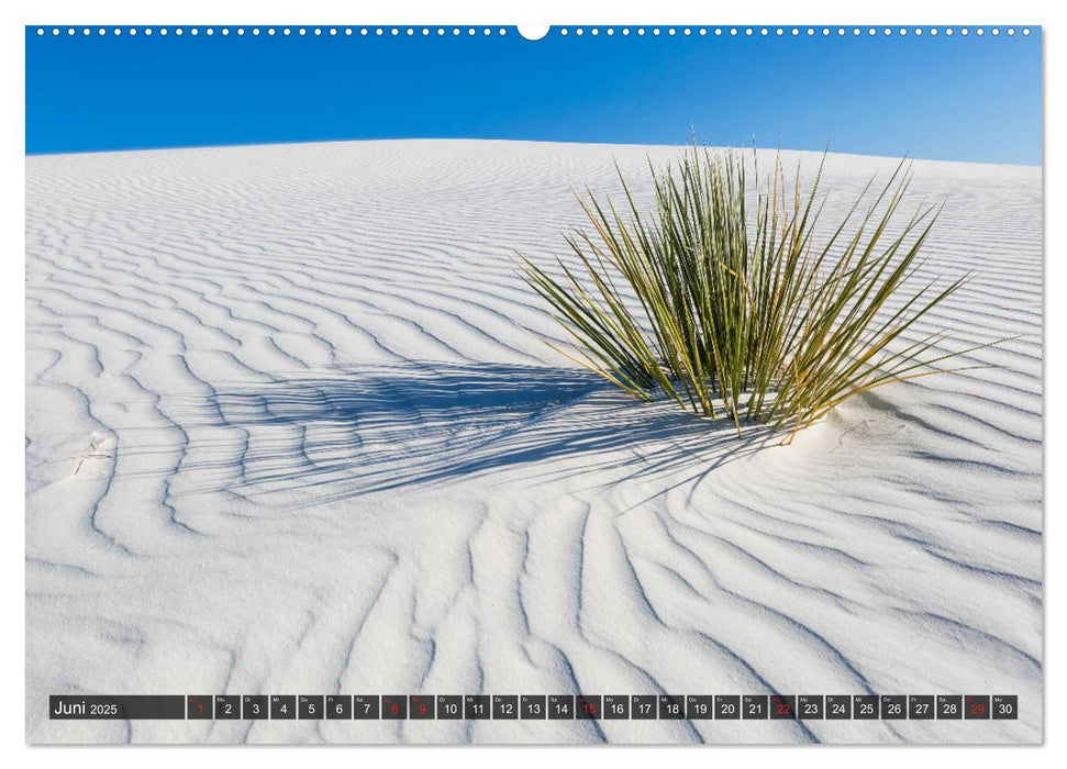 WHITE SANDS Die weiße Wüste in New Mexico (CALVENDO Wandkalender 2025)