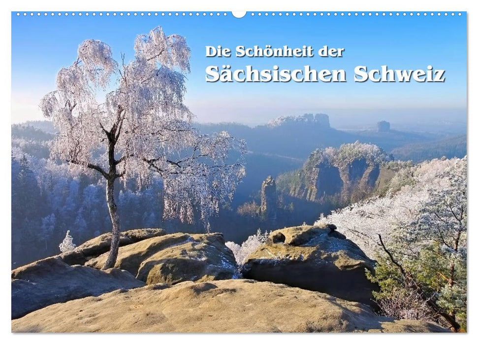 Die Schönheit der Sächsischen Schweiz (CALVENDO Wandkalender 2025)