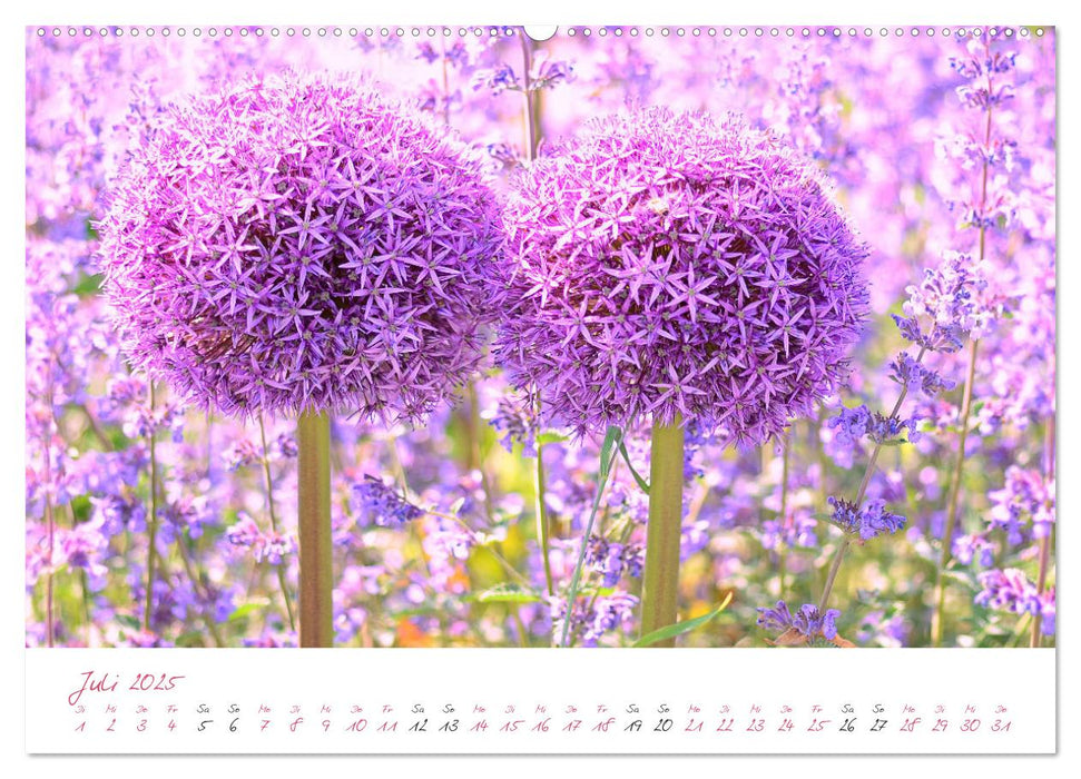 Blütenträume in violett und pink (CALVENDO Premium Wandkalender 2025)