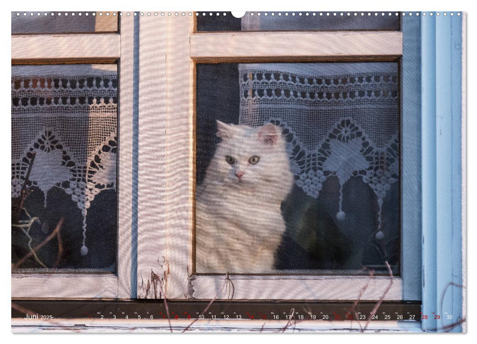 Freising mit offenen Augen (CALVENDO Premium Wandkalender 2025)