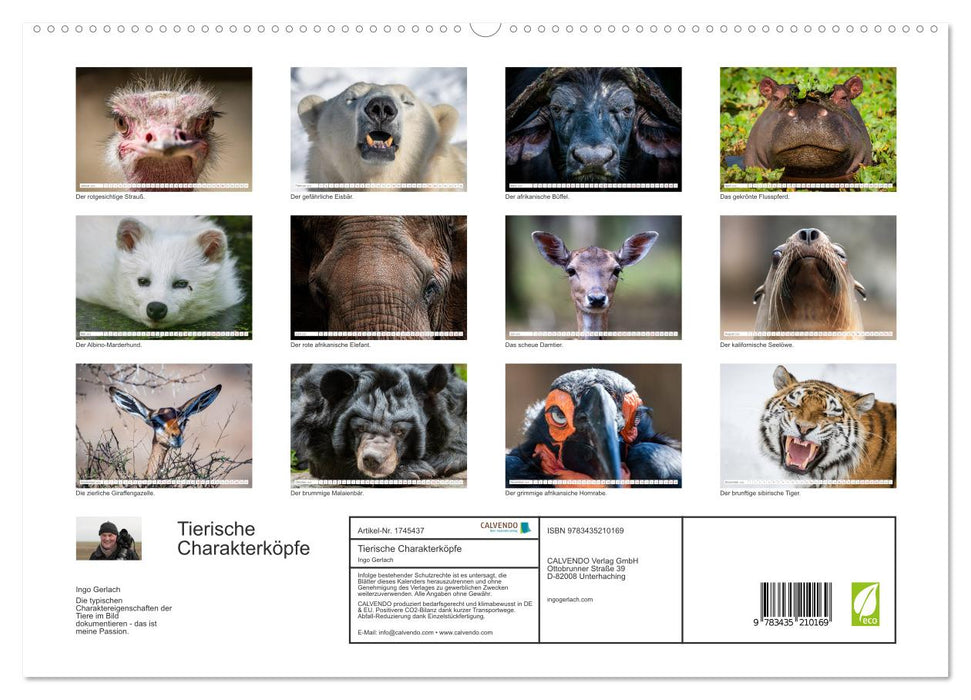 Tierische Charakterköpfe (CALVENDO Premium Wandkalender 2025)