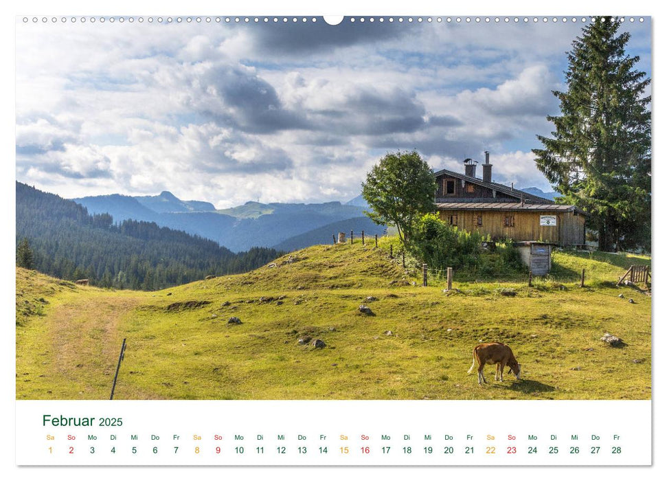 Auf der Winklmoosalm (CALVENDO Premium Wandkalender 2025)