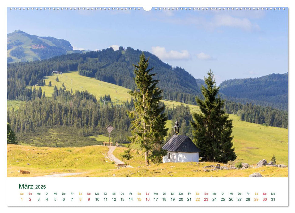 Auf der Winklmoosalm (CALVENDO Premium Wandkalender 2025)