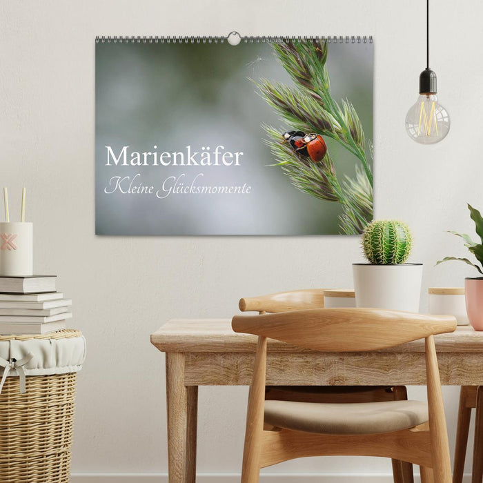 Marienkäfer - kleine Glücksmomente (CALVENDO Wandkalender 2025)