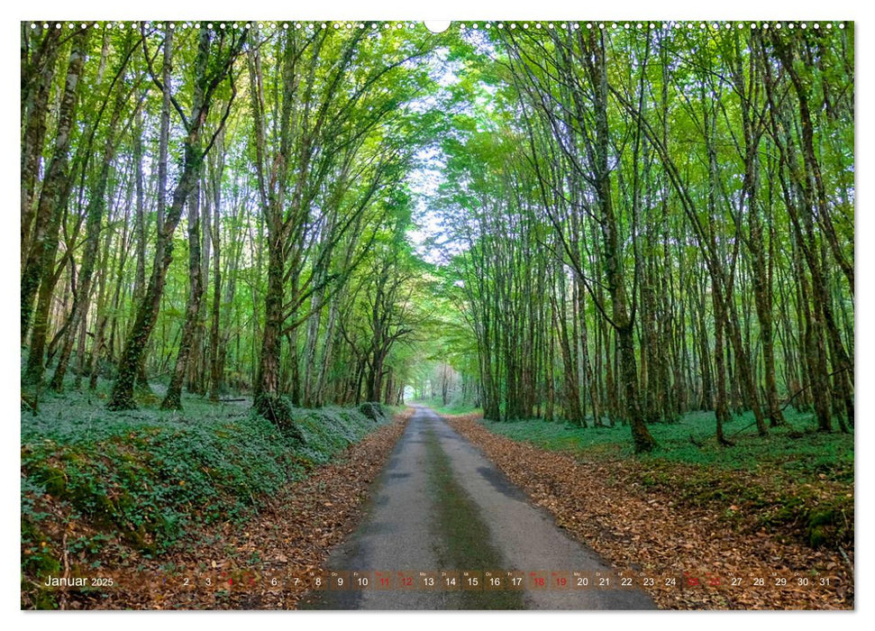 Dordogne Mon Amour (CALVENDO Premium Wandkalender 2025)