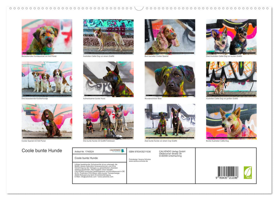 Coole bunte Hunde (CALVENDO Premium Wandkalender 2025)