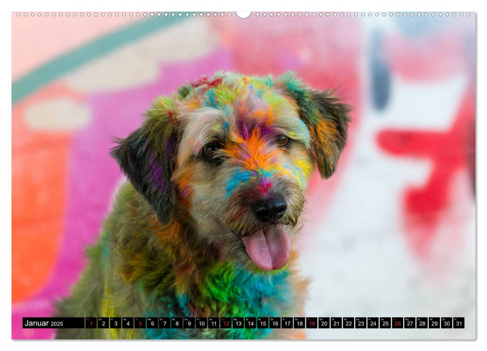 Coole bunte Hunde (CALVENDO Premium Wandkalender 2025)