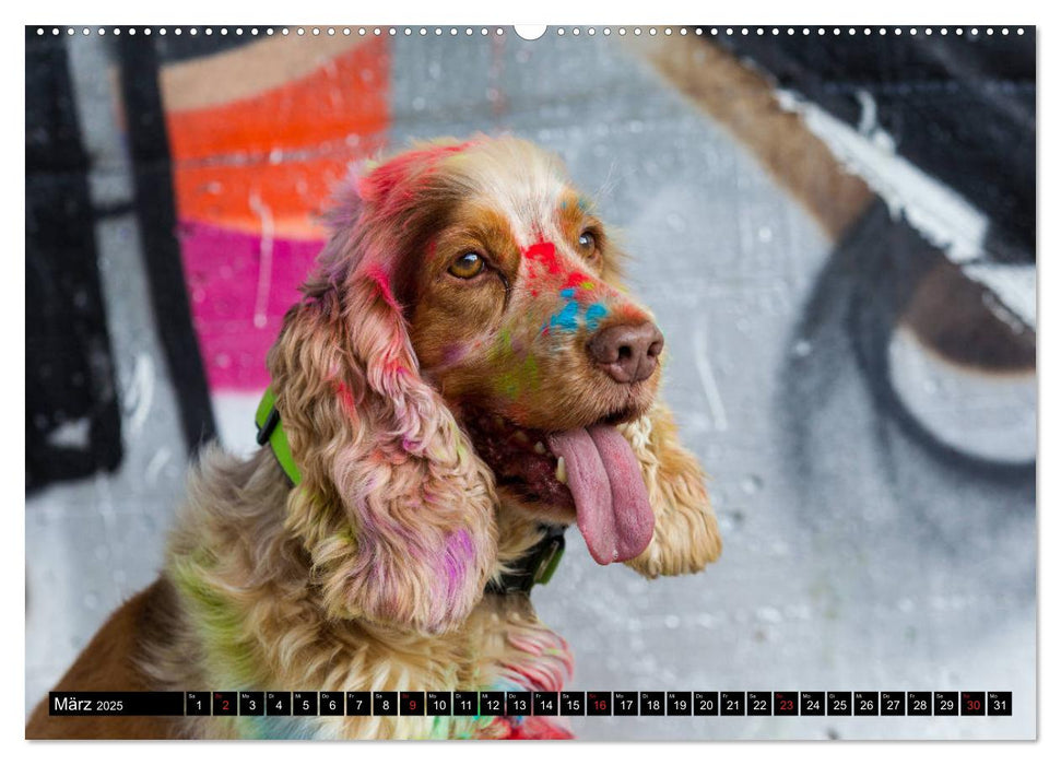 Coole bunte Hunde (CALVENDO Premium Wandkalender 2025)