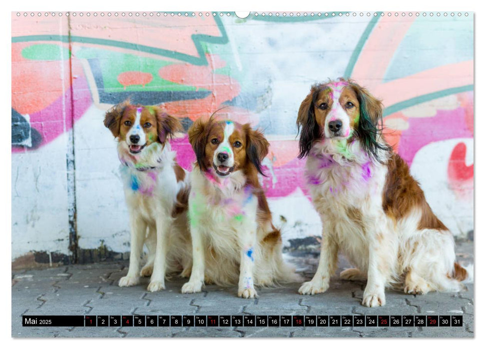 Coole bunte Hunde (CALVENDO Premium Wandkalender 2025)