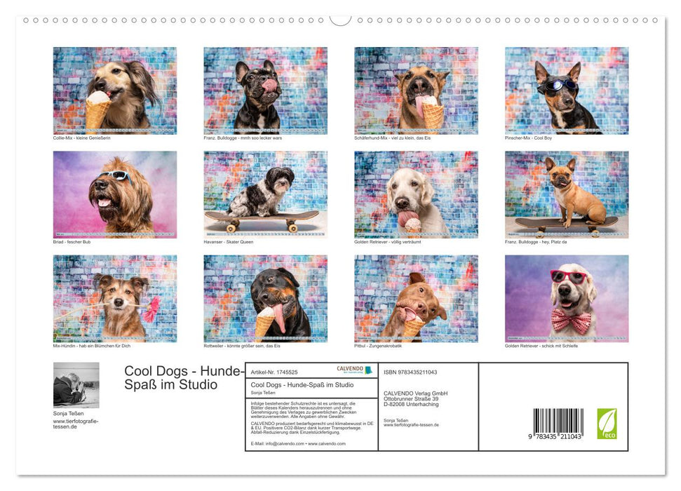 Cool Dogs - Hunde-Spaß im Studio (CALVENDO Premium Wandkalender 2025)