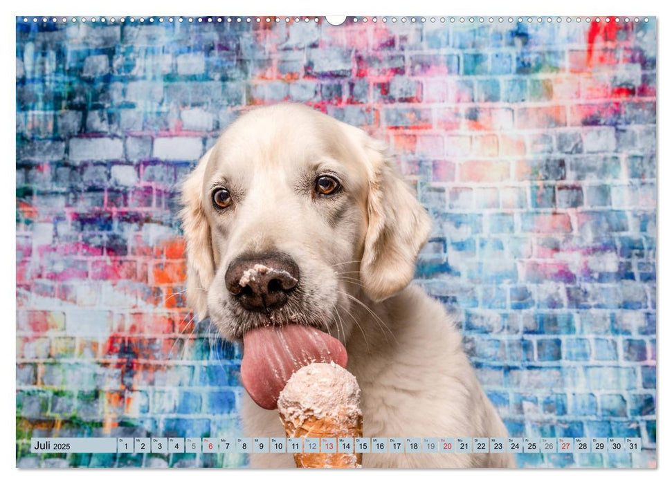 Cool Dogs - Hunde-Spaß im Studio (CALVENDO Premium Wandkalender 2025)