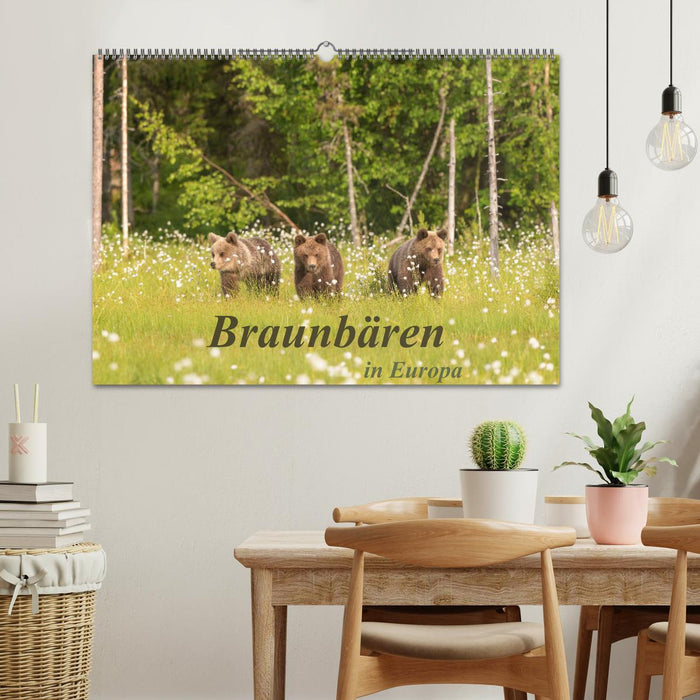 Braunbären in Europa (CALVENDO Wandkalender 2025)