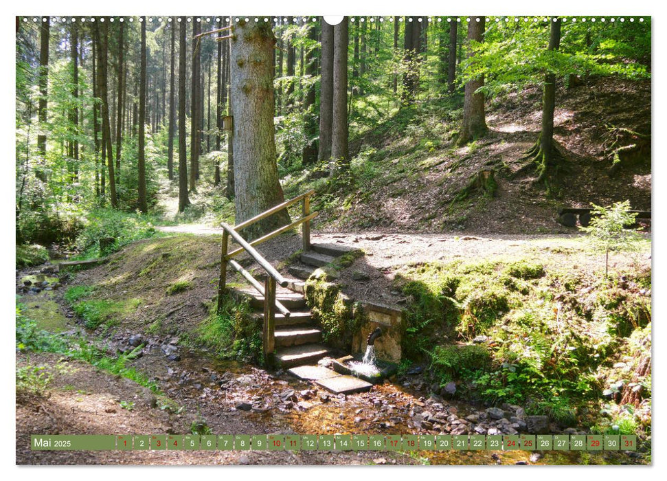 Bad Sachsa - Landschaftsmomente im Südharz (CALVENDO Wandkalender 2025)