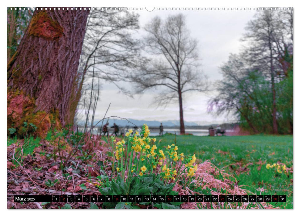 Bayerische Märchen-Seen (CALVENDO Premium Wandkalender 2025)