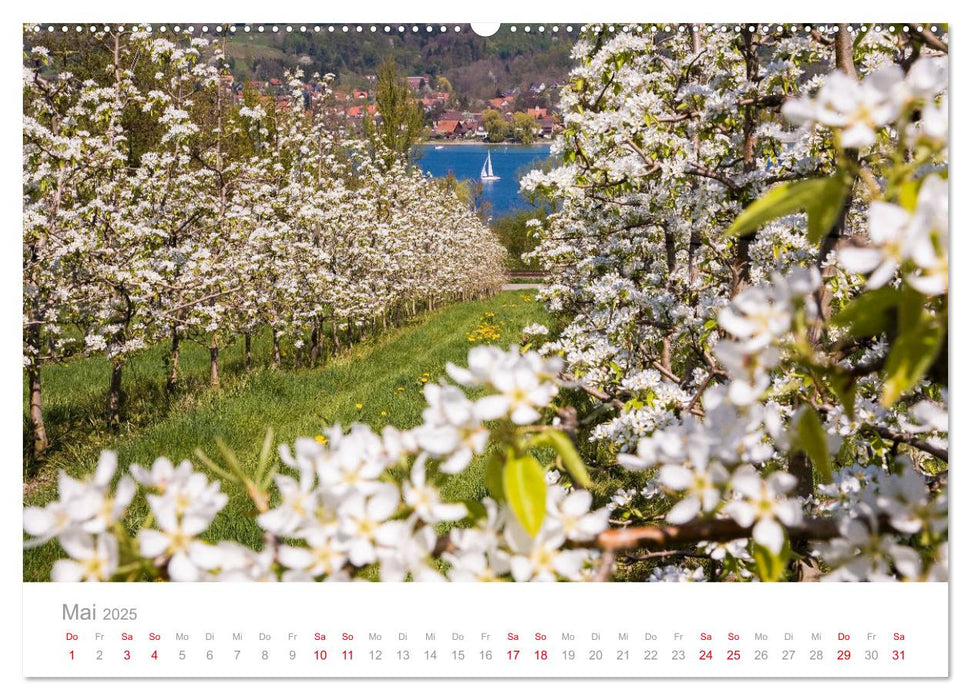 BODENSEE Drei Länder - ein See (CALVENDO Premium Wandkalender 2025)