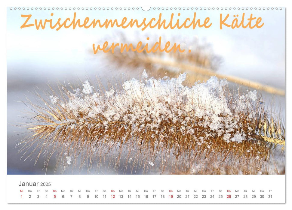 Zufrieden leben ist nicht schwer... (CALVENDO Premium Wandkalender 2025)