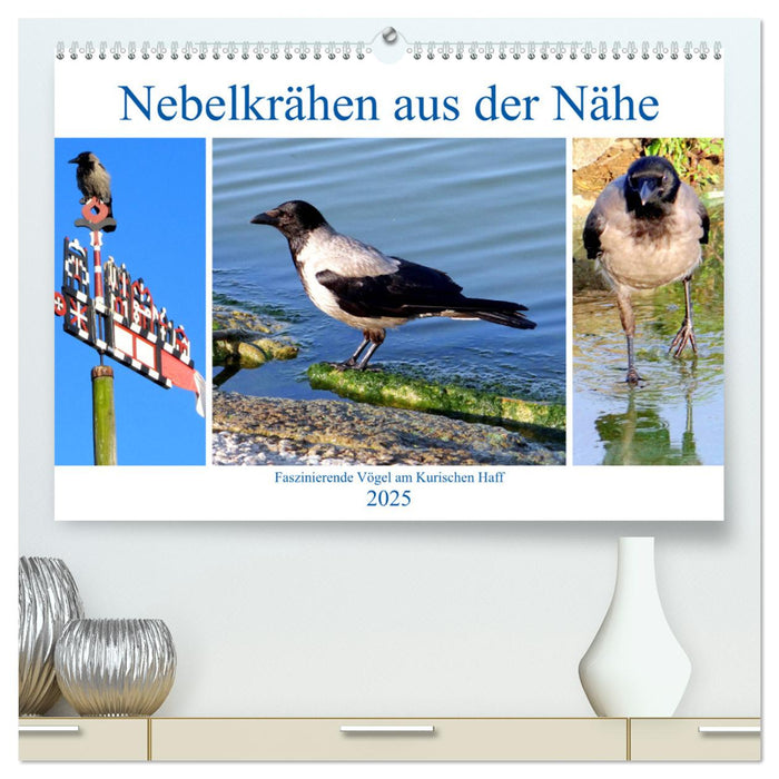 Nebelkrähen aus der Nähe - Faszinierende Vögel am Kurischen Haff (CALVENDO Premium Wandkalender 2025)