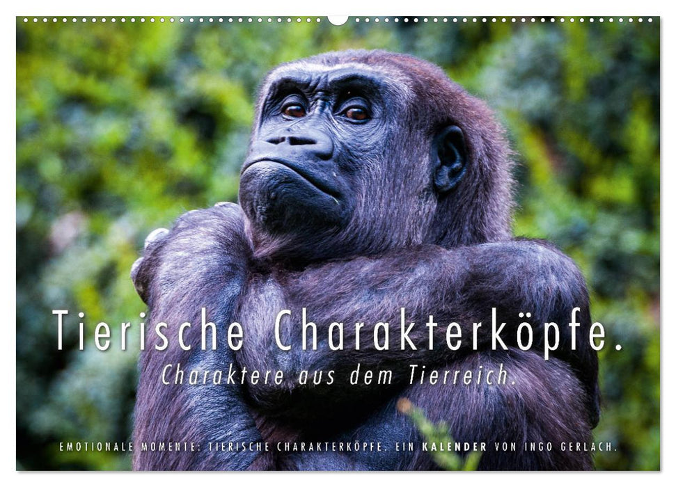 Tierische Charakterköpfe (CALVENDO Wandkalender 2025)