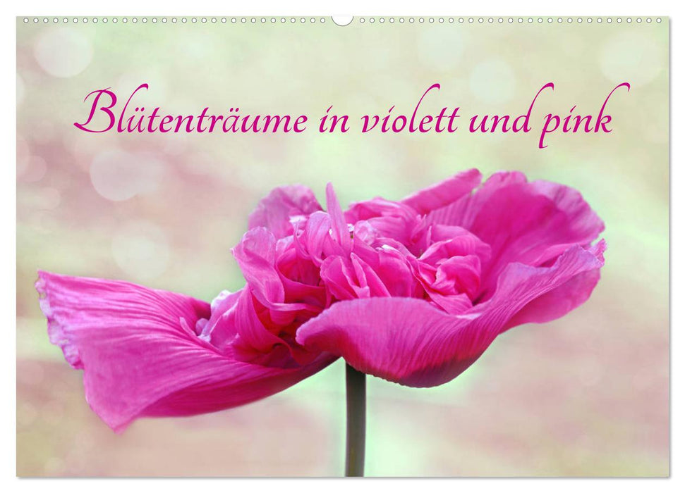 Blütenträume in violett und pink (CALVENDO Wandkalender 2025)