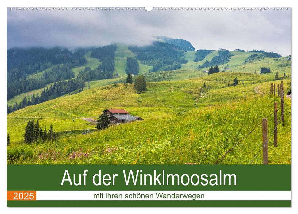 Auf der Winklmoosalm (CALVENDO Wandkalender 2025)