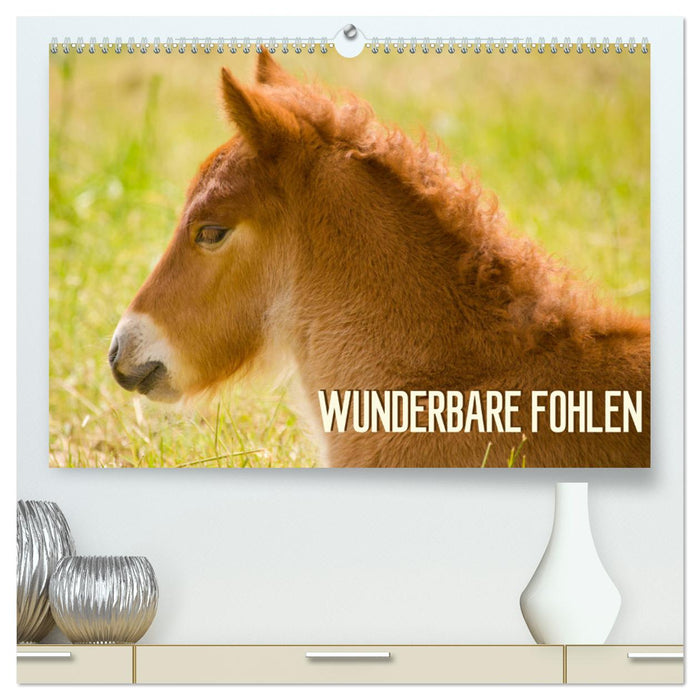 Wunderbare Fohlen (CALVENDO Premium Wandkalender 2025)