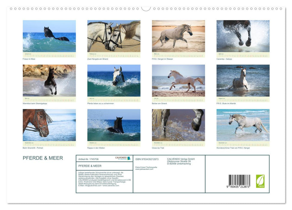 PFERDE & MEER (CALVENDO Premium Wandkalender 2025)