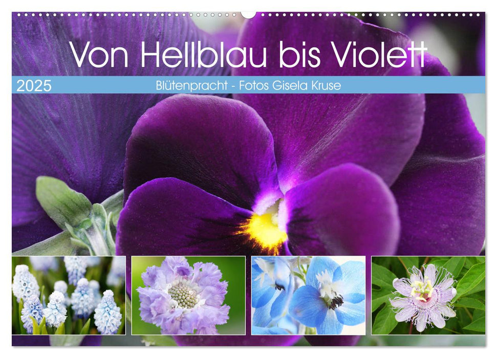 Von Hellblau bis Violett Blütenpracht (CALVENDO Wandkalender 2025)