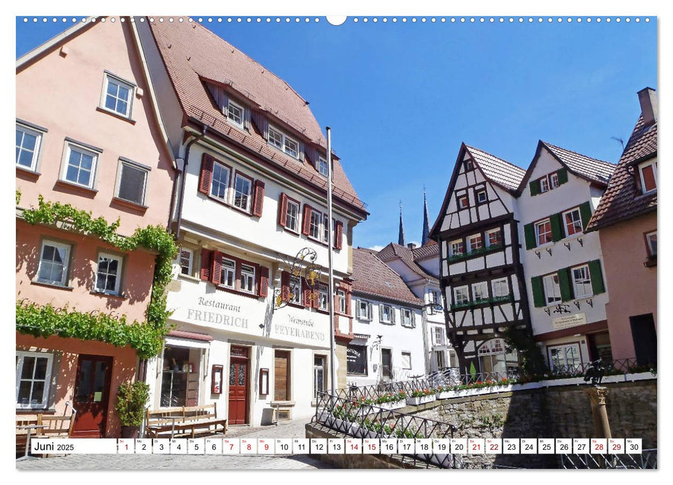 Bad Wimpfen - Altstadtperle am Neckar (CALVENDO Premium Wandkalender 2025)