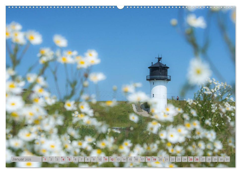 Leuchttürme - Wächter der Küsten (CALVENDO Premium Wandkalender 2025)